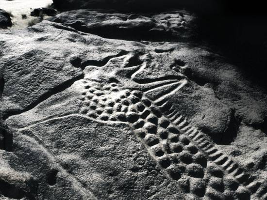 The Art of Ancient History — de-salva: ROCK ART IN AFRICA - Dabous Giraffe ...