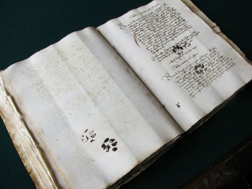 Renaissance Art — Paw prints from a cat on a 15th century...