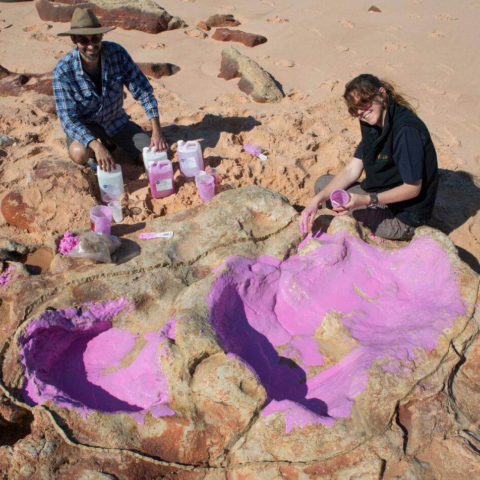 World's biggest dinosaur footprint discovered in 'Australia's own Jurassic Park'