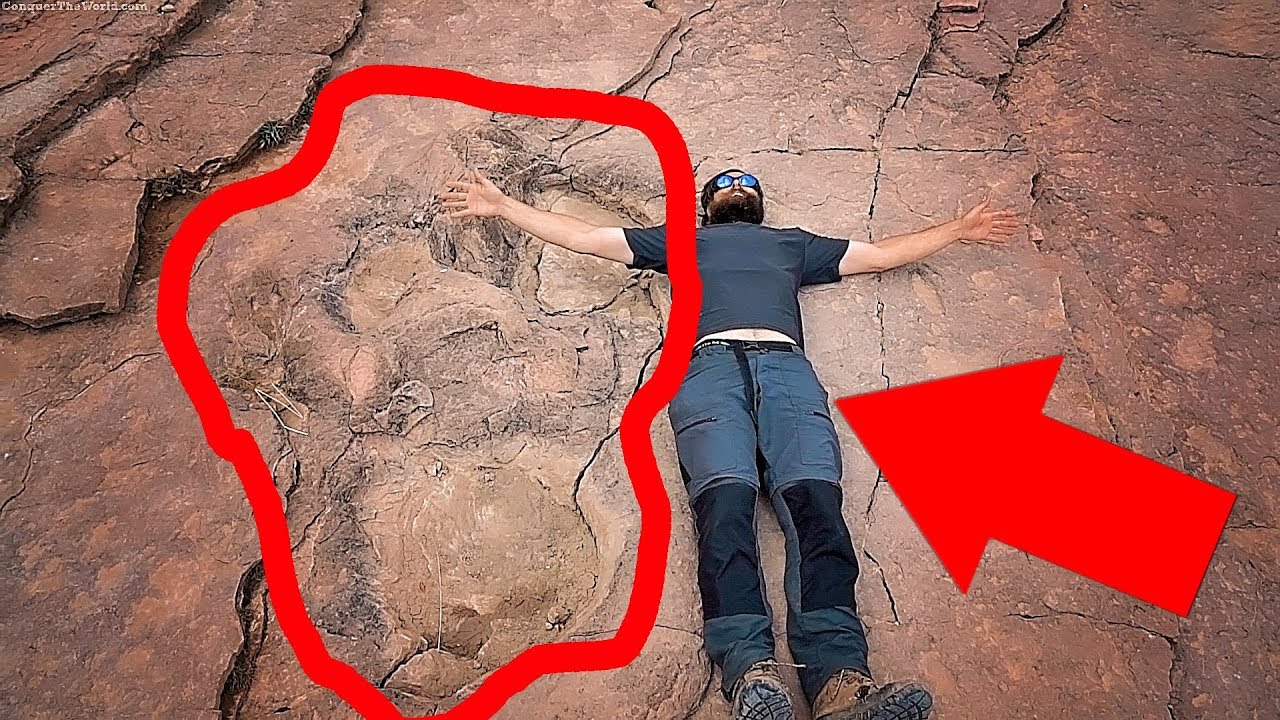 actual dinosaur footprints Offers online OFF 72%