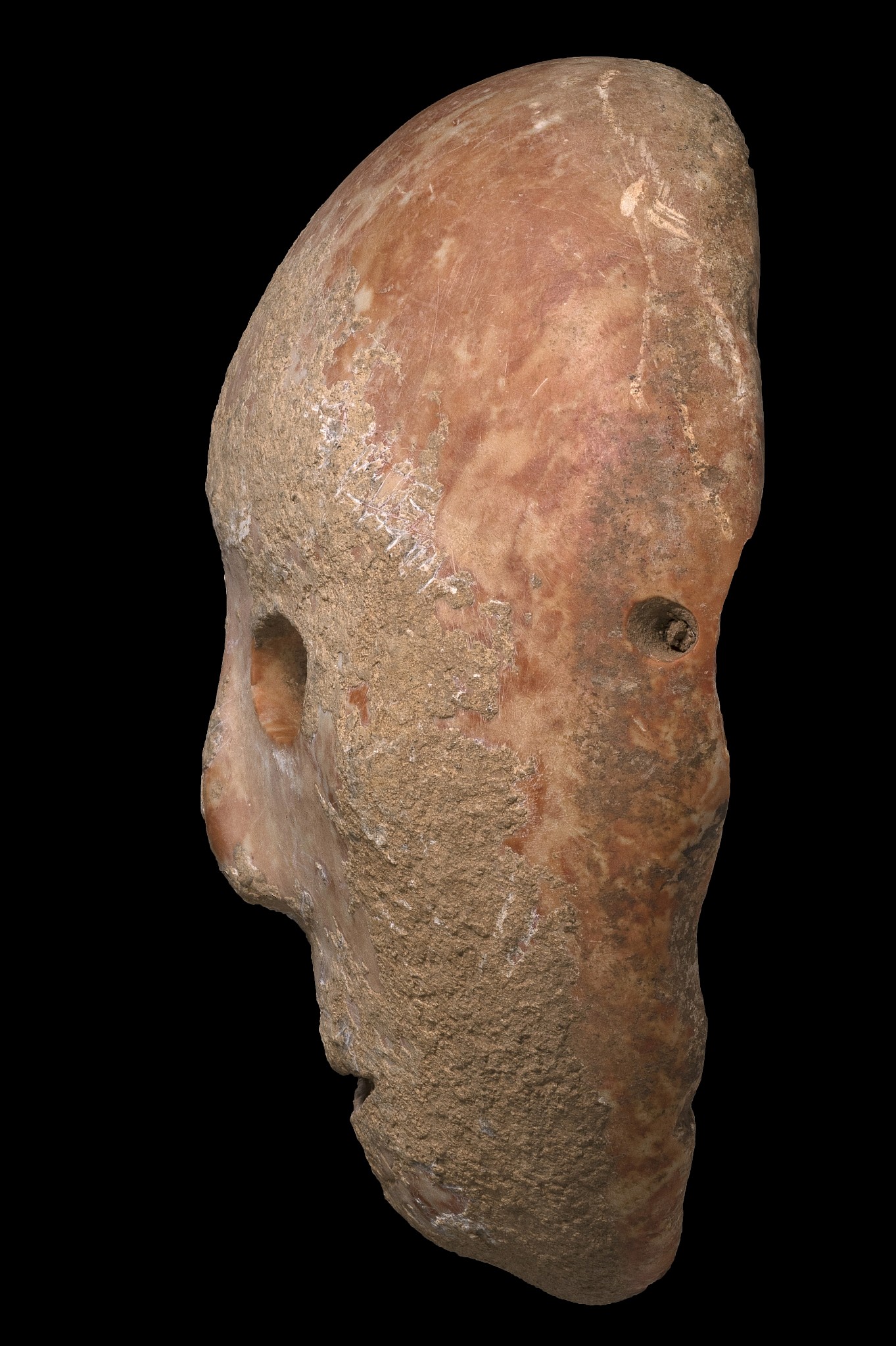 9,000-year-old mask from Hebron Hills sheds light on the dawn of  agriculture | The Times of Israel