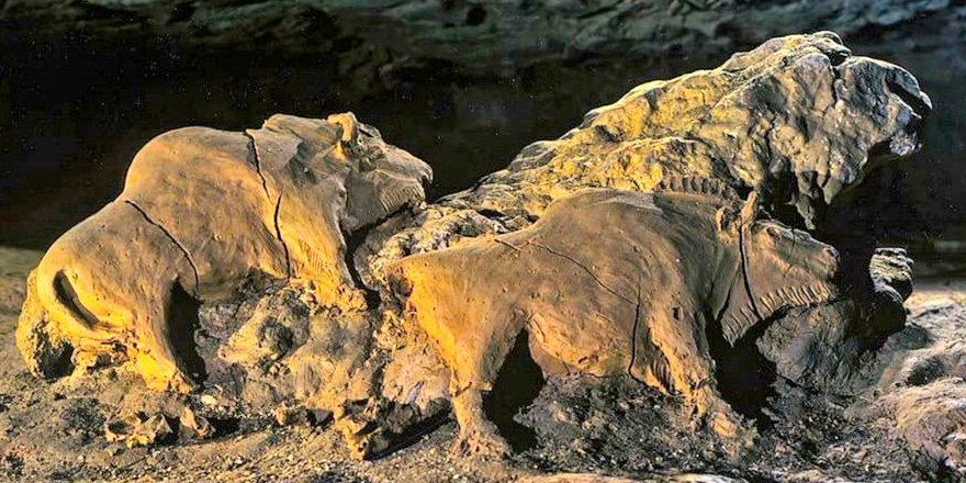 Cliff Pickover on X: "15,000-year-old bison sculptures found in Le Tuc d'Audoubert cave. Ariege, France. https://t.co/CqVppXOJeB https://t.co/3j9IMg8E37" / X