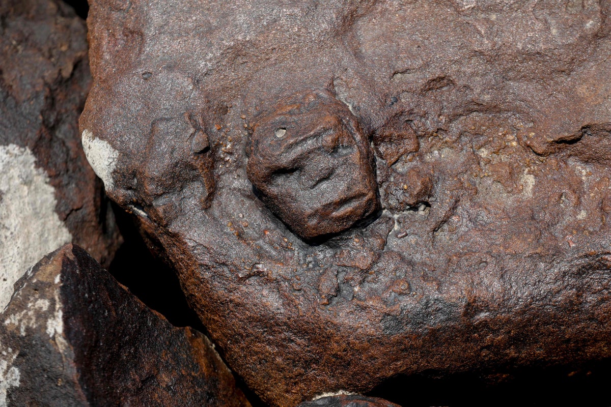 Mysterious ancient 'human face' rock carvings revealed by receding waters in Amazon | The Independent