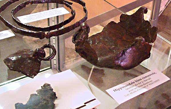 Hipposandal - Wikipedia