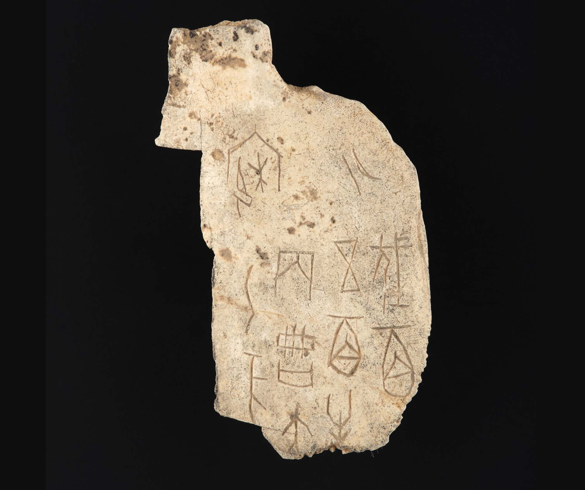 Consulting the Ancient Chinese Oracle Bones of the Shang Dynasty – Museum Crush