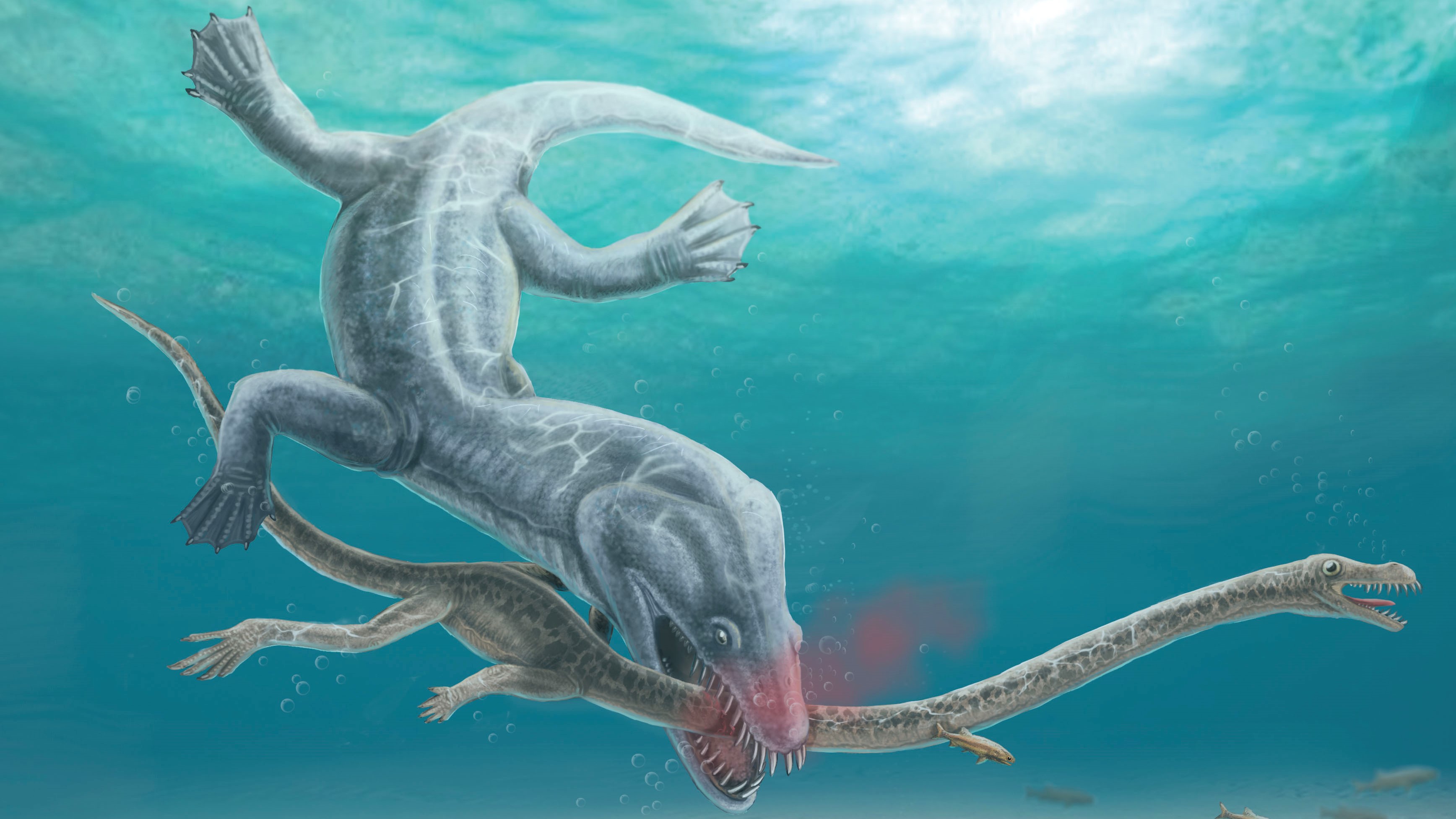 Enormous 240 million-year-old sea monster had its head torn off in one clean bite | Live Science