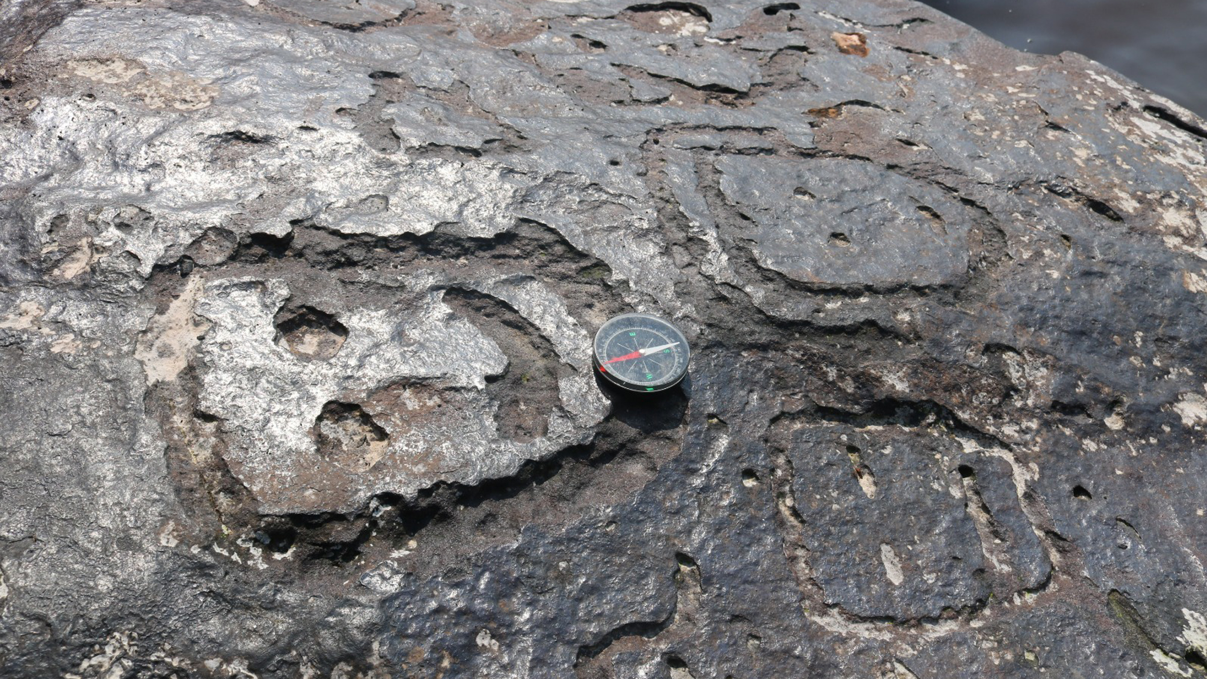 Severe drought reveals more than 100 rock carvings in Amazonian tributary that may be up to 2,000 years old | Live Science