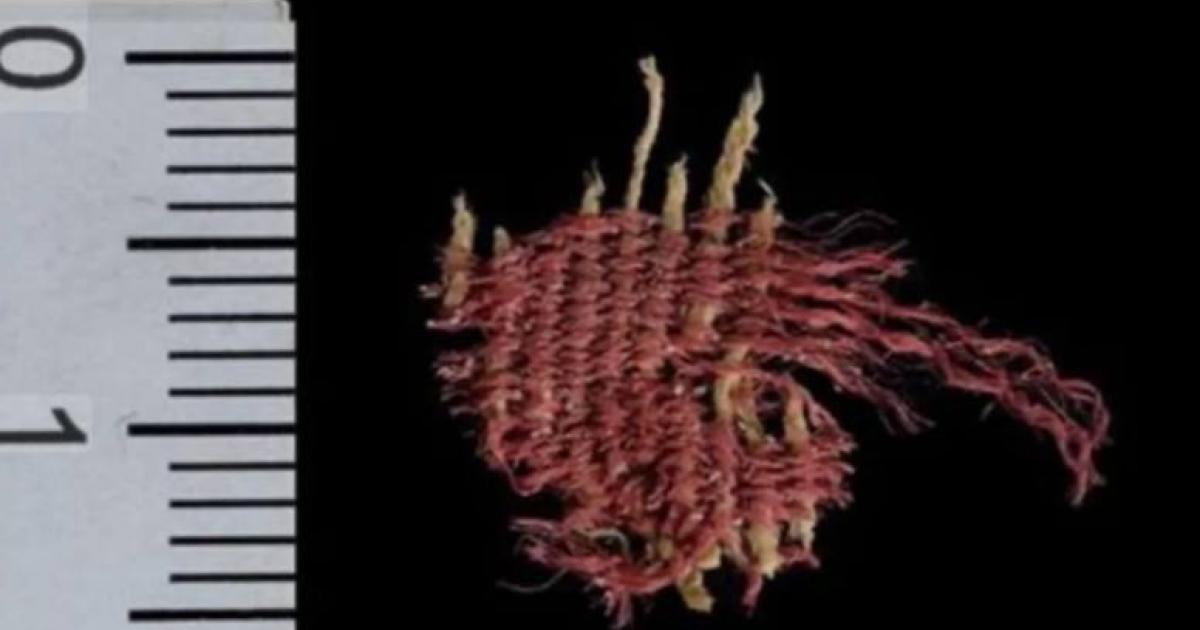 Sample of the oldest known insect-dyed fabric.	Source: Dafna Gazit/Israel Antiquities Authority