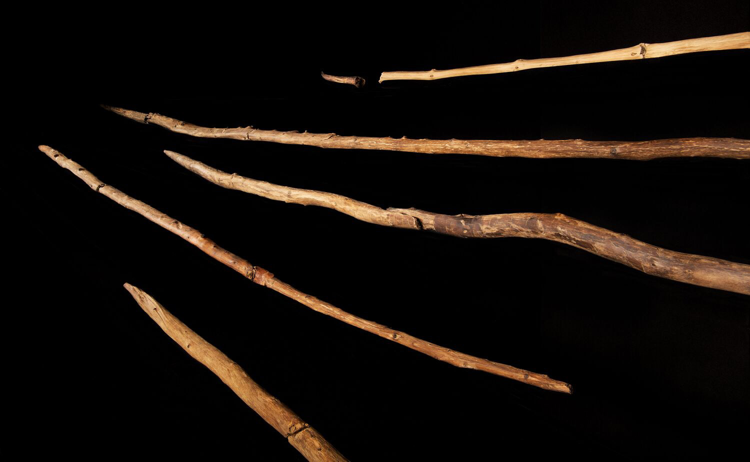 300,000 Years Ago, Humanity Knew Craftsmanship: “Extraordinary” Schöningen  Spears Unveil Early Human Ingenuity