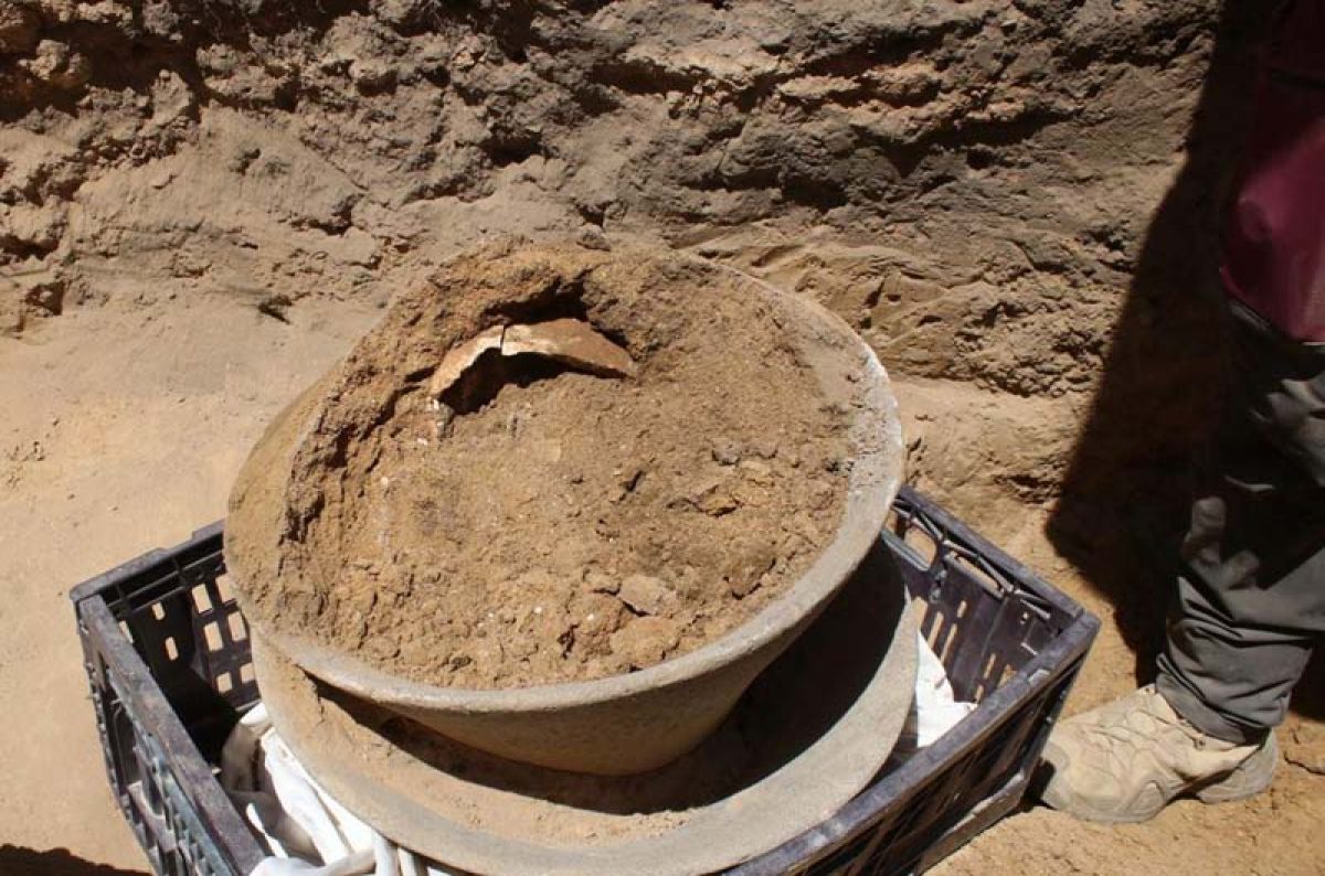 6,000-Years-Old Ivory Vessel Discovered in Southern Israel | The Jewish  Press - JewishPress.com | David Israel | 1 Nisan 5784 – Tuesday, April 9,  2024 | JewishPress.com