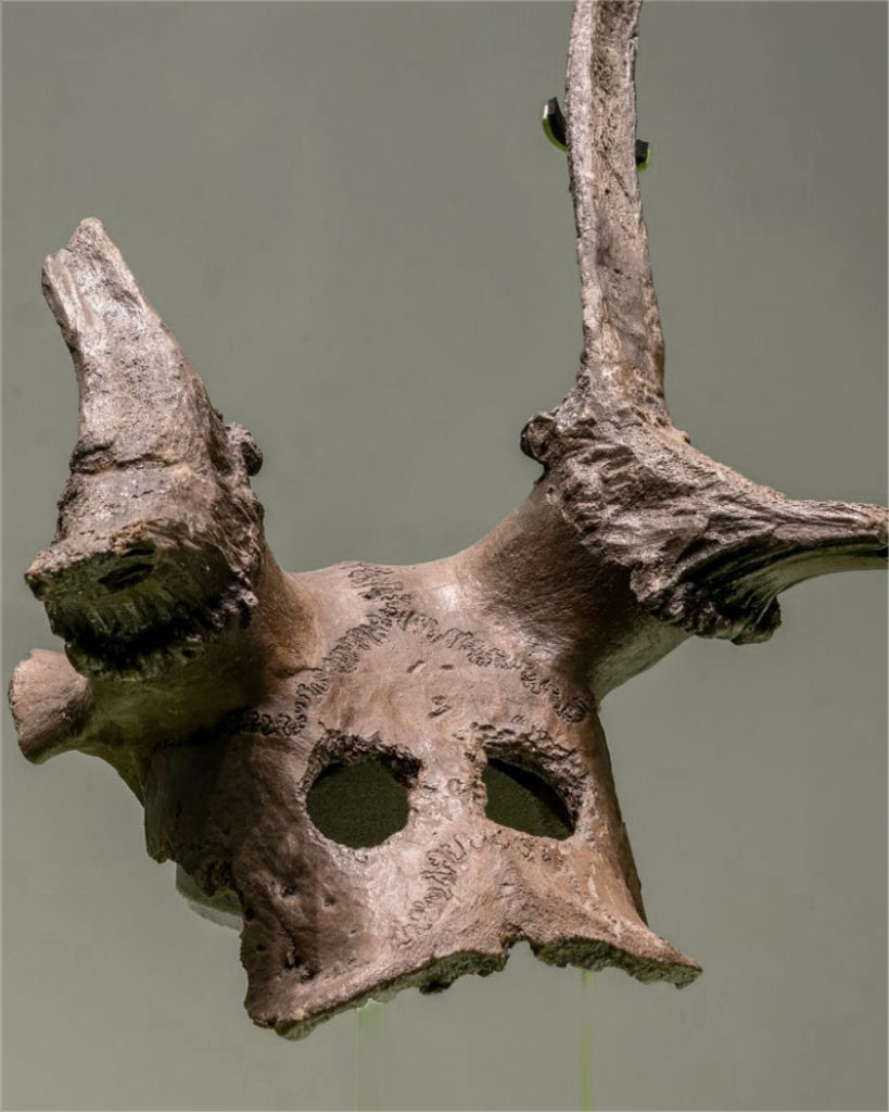 Deer Skull Masks Made 11,000 Years Ago – Masks of the World