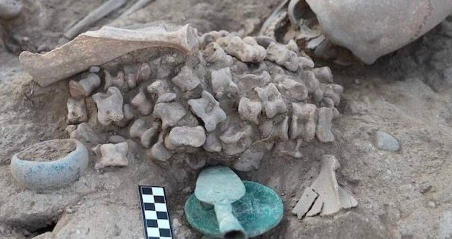 Bronze Age Girl Buried With Animal Bones Found In Kazakhstan