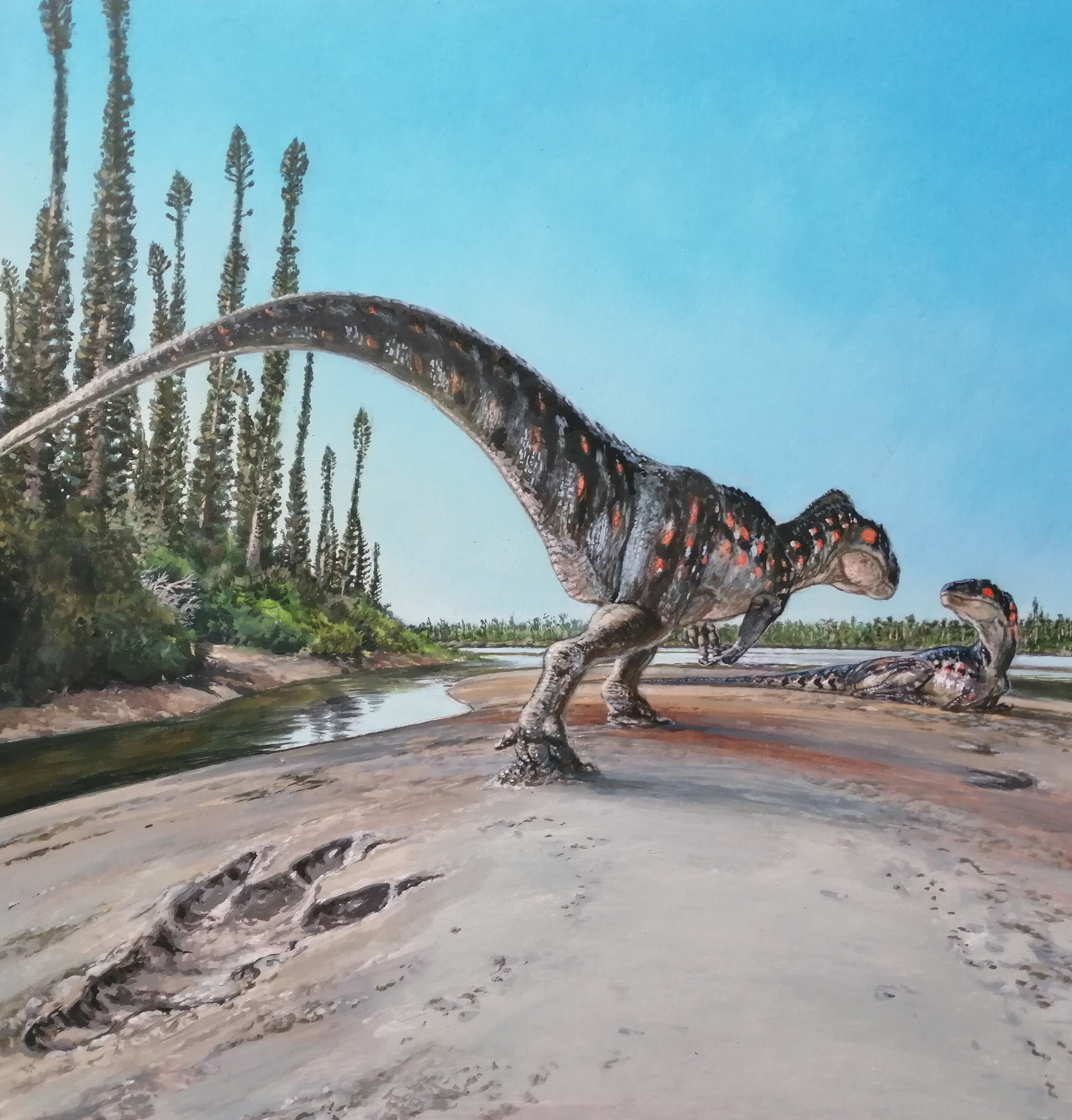 Giant meat-eating dinosaur footprint is largest found in Yorkshire