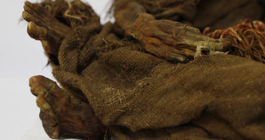 500-Year-Old Incan 'Princess' Mummy Finally Returned To Bolivia