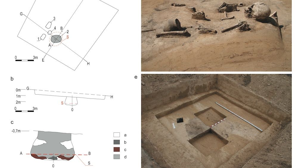 A map of the excavation site as well as images of the burial