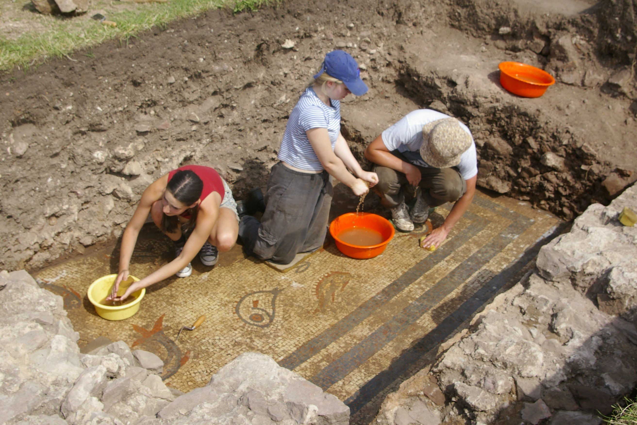 Astonishing moment' beautiful Roman dolphins mosaic uncovered hiding just  below the ground in Shropshire dig