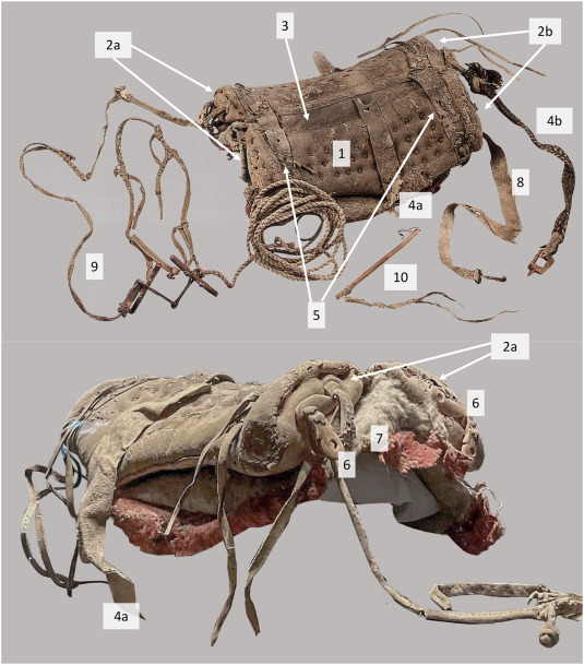 The earliest directly dated saddle for horse-riding from a mid-1st  millennium BCE female burial in Northwest China - ScienceDirect