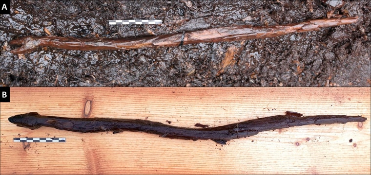 4,400-year-old shaman's 'snake staff' discovered in Finland