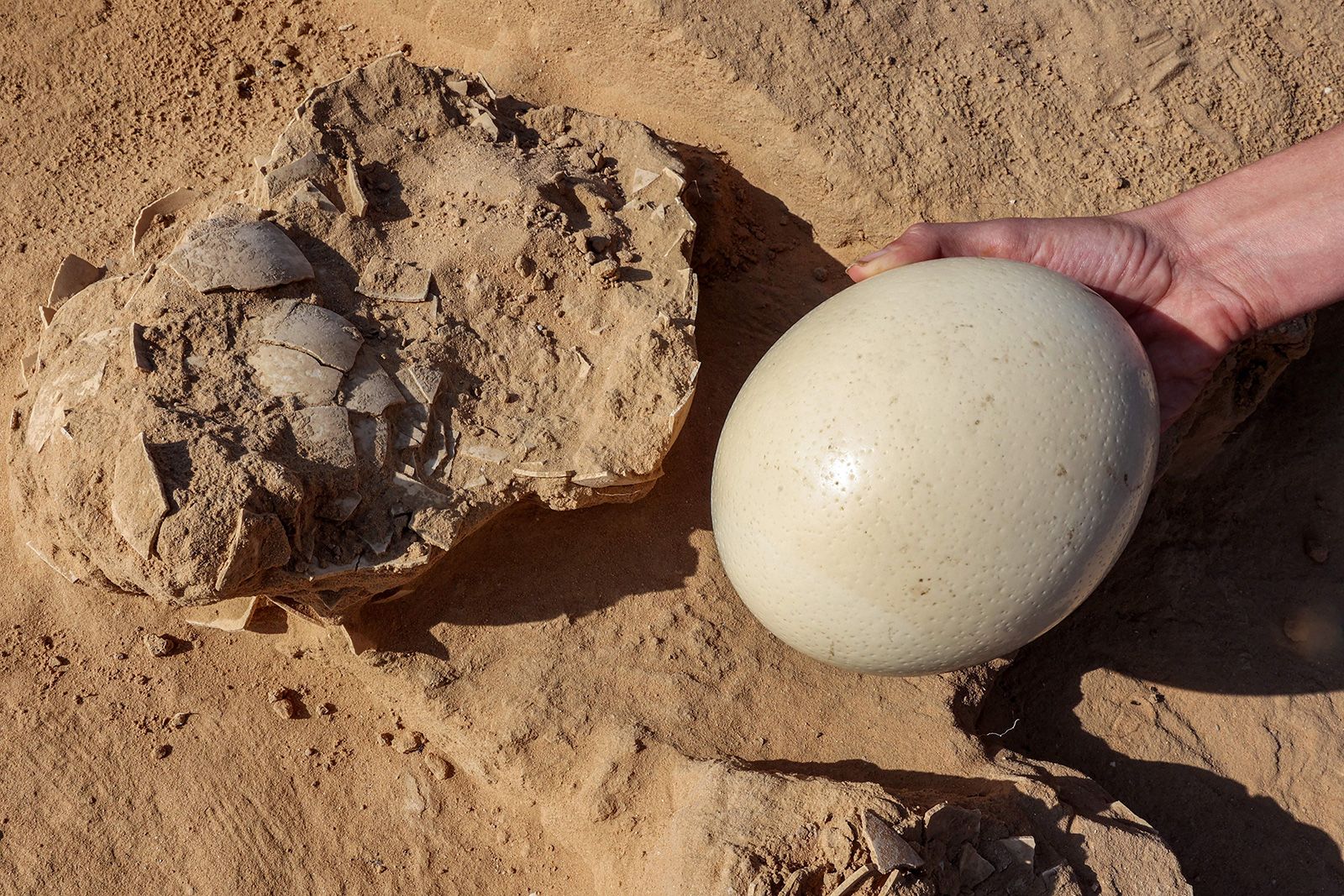 Roman egg still intact found in UK in 'amazing' discovery | CNN