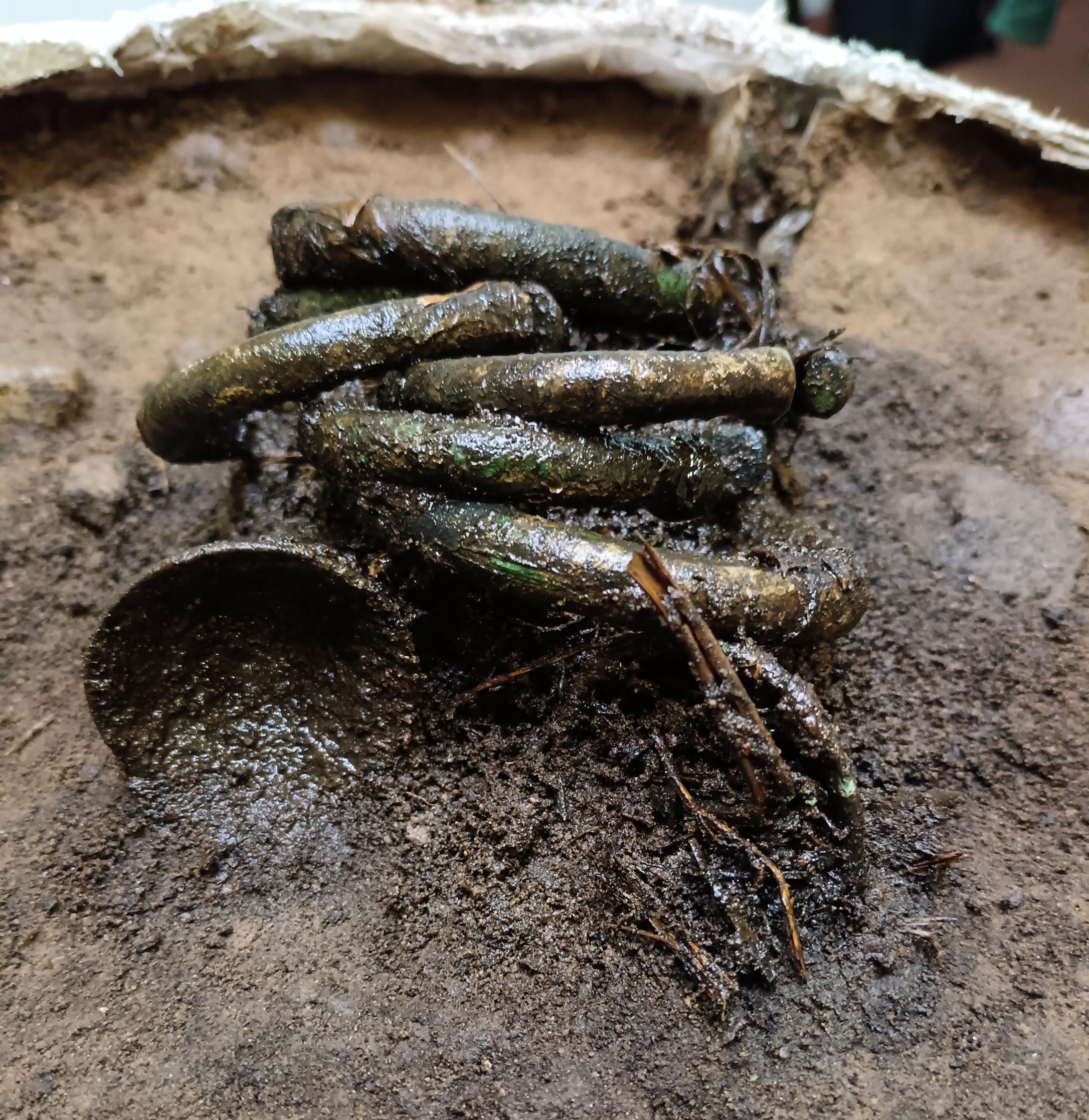 Bronze Age treasure hoard found at Highlands building site