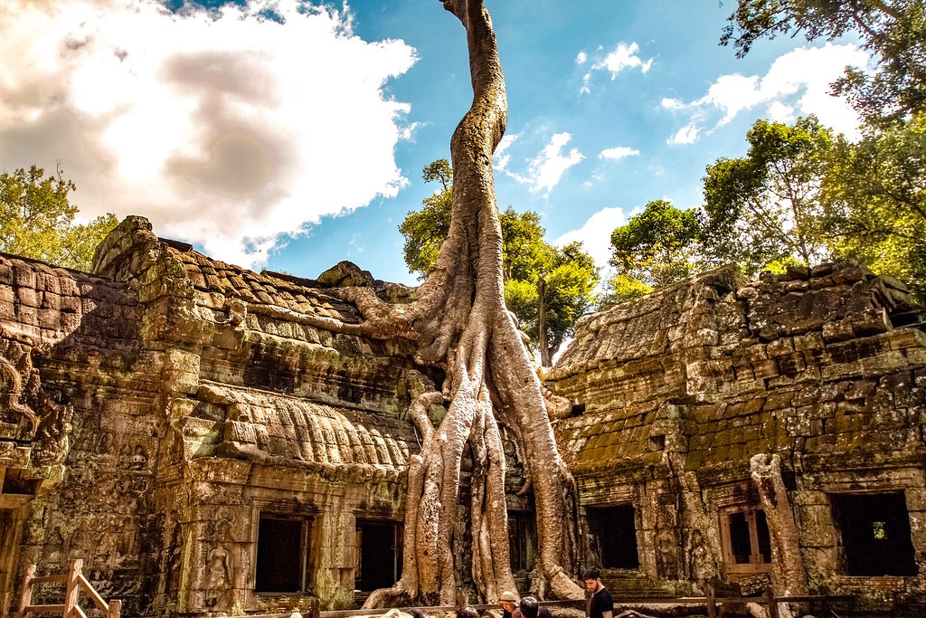 Chùm ảnh: Vẻ đẹp ma mị của Ta Prohm – ngôi đền Khmer 800 tuổi - VIETNAM  GOLDEN BOOKS | HÀNH TRÌNH QUẢNG BÁ CÁC GIÁ TRỊ DỊCH VỤ VIỆT NAM