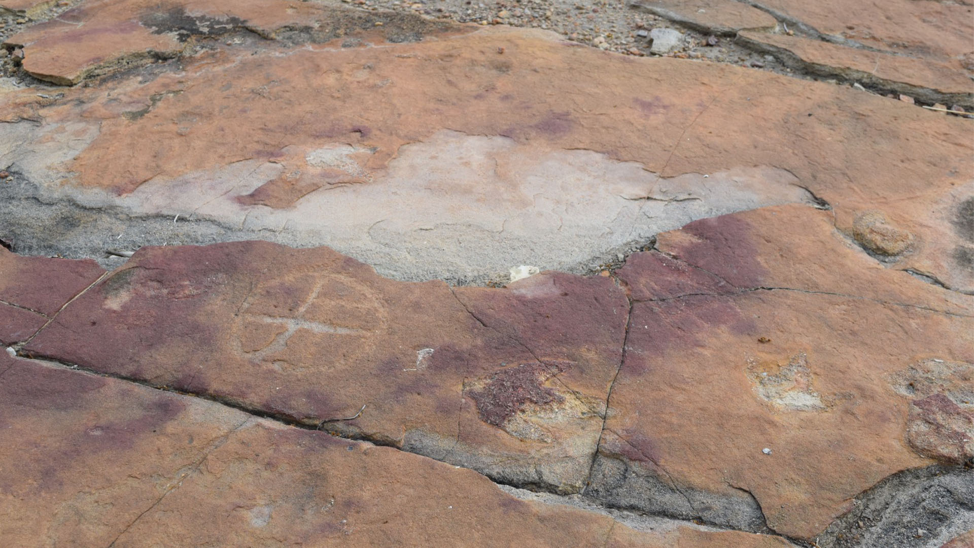 9,000-year-old rock art discovered among dinosaur footprints in Brazil |  Live Science