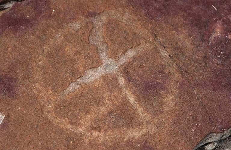 9,000-Year-Old Rock Art Discovered Among Dinosaur Footprints -  GreekReporter.com