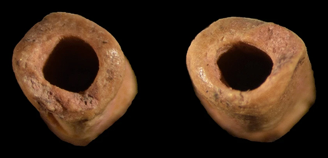 Ancient Bone Is The Oldest Known Bead in The Americas, Revealing Clues to Clovis Culture : ScienceAlert