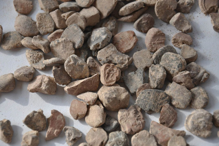 News - Thousands of Roman Seal Impressions Unearthed in Turkey - Archaeology Magazine