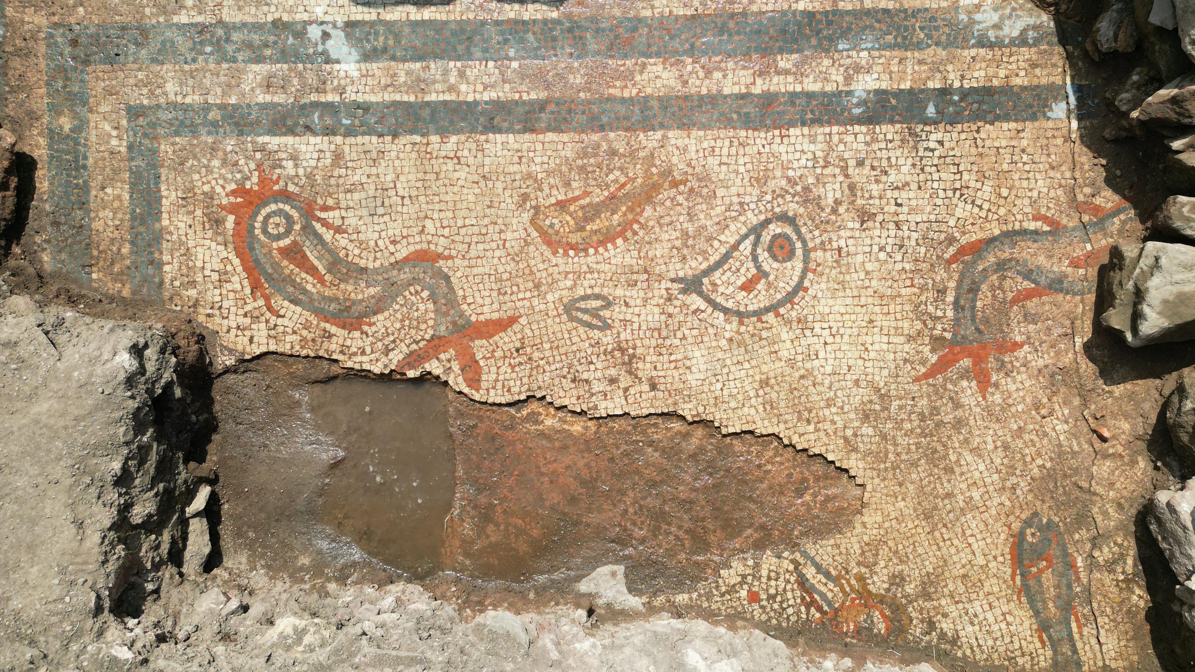 Hidden mosaic discovered at Wroxeter Roman site