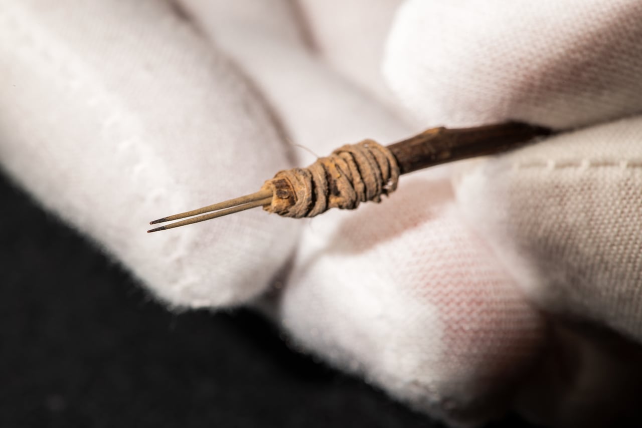 Researchers discover 2,000-year-old tattoo needle made from cactus spines |  CBC Radio