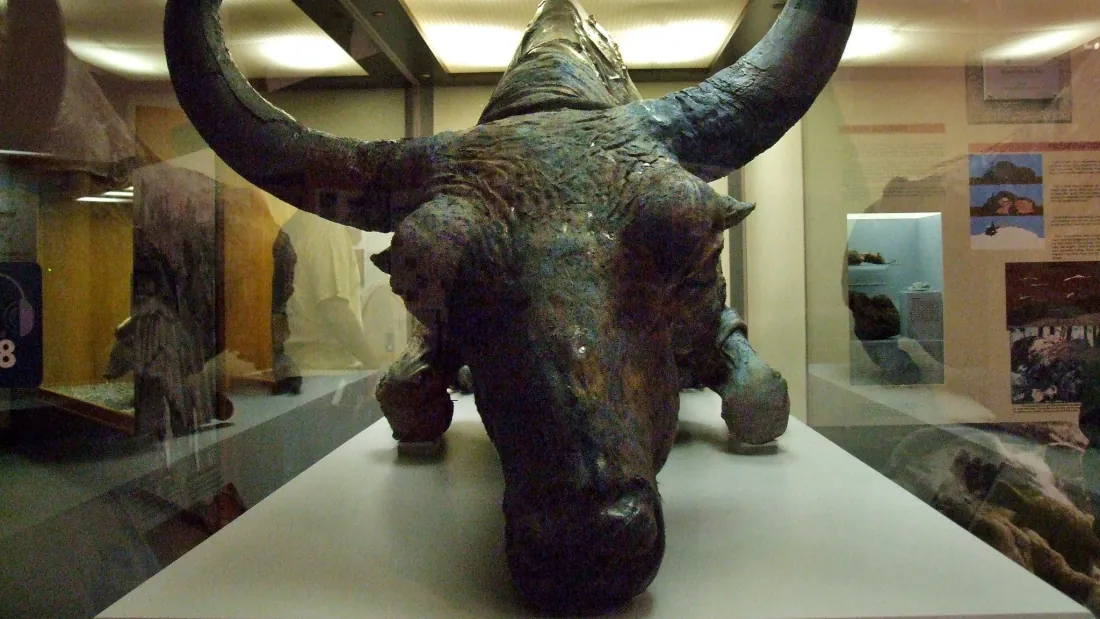 In 1984, Scientists Ate 50,000-Year-OId Bison In A Stew | IFLScience