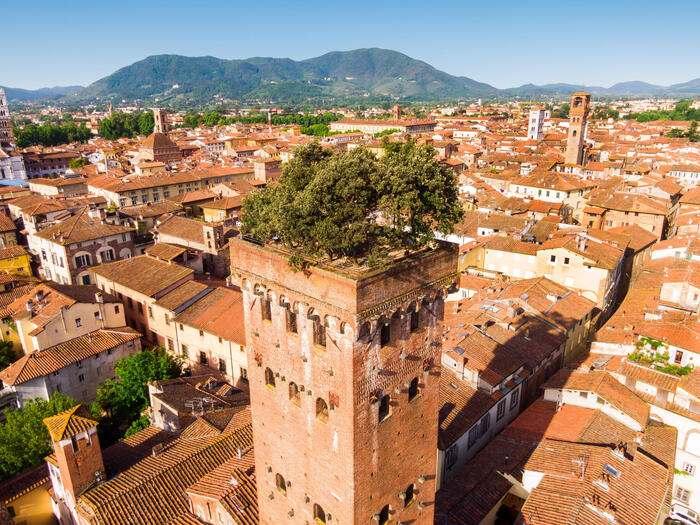 Torre Guinigi e Orto botanico Lucca, 279.041 visitatori nel 2022 - Toscana - ANSA.it