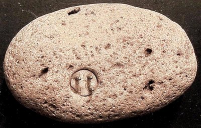 Enigmalith: A 100,000-Year-Old electrical connector found embedded In Stone