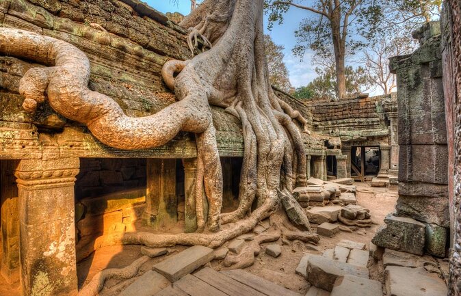 Ta Prohm - What To Know BEFORE You Go | Viator