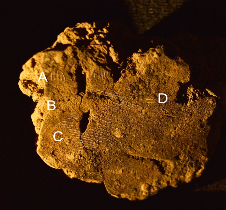 Latest prehistoric fingerprints on Ness of Brodgar pottery sherd belonged  to 13-year-old boy - Archaeology Orkney