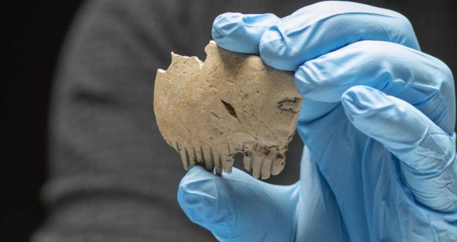 Archaeologists Unearth Iron Age Comb Made From Human Skull