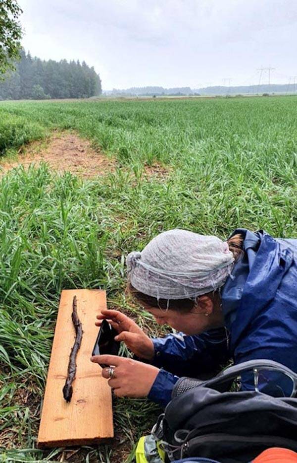 4,400-Year-Old 'Snake Staff' Used By Shamans In Rituals Found In Finland