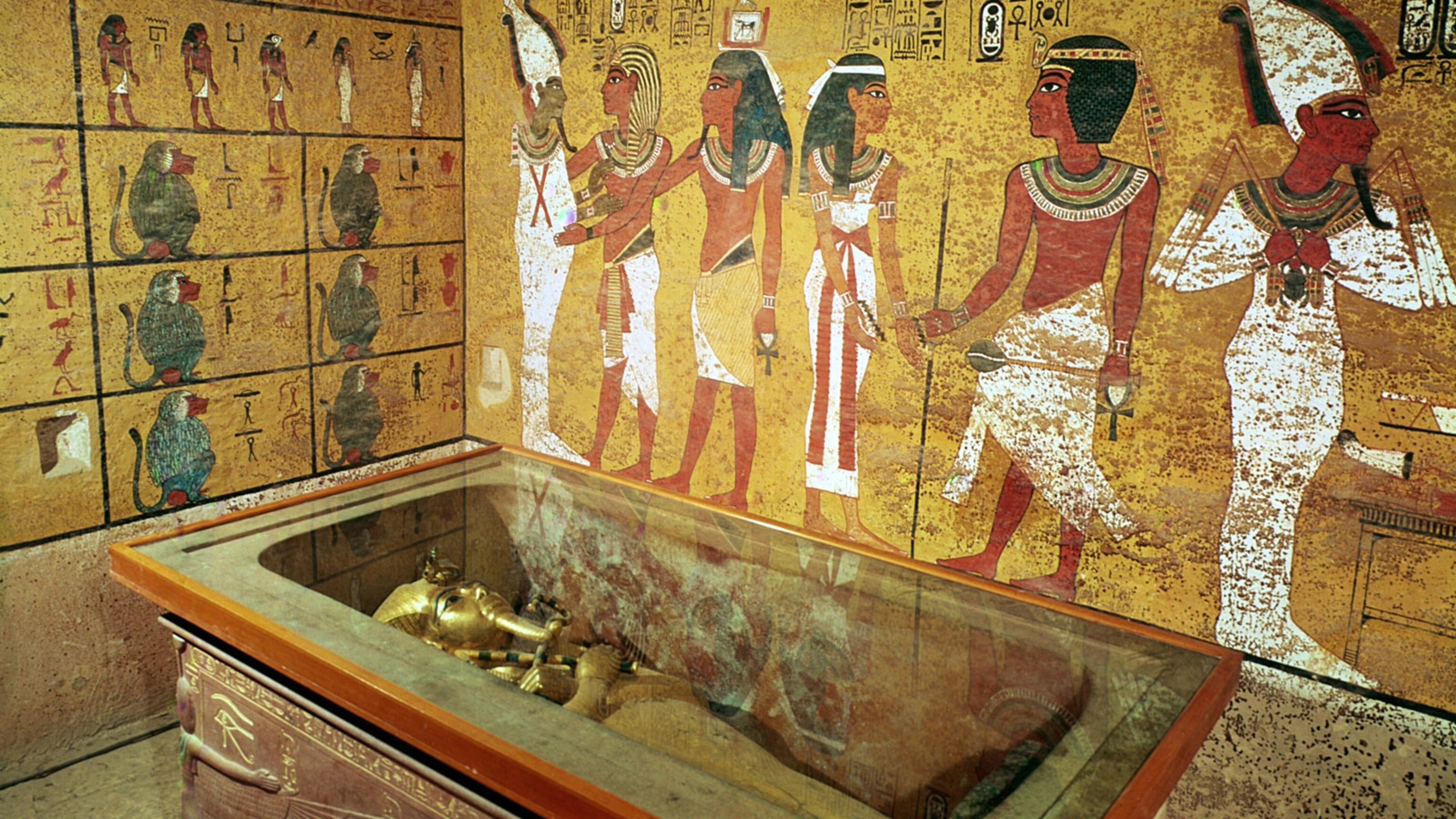 Mummy Mystery: The story of King Tut