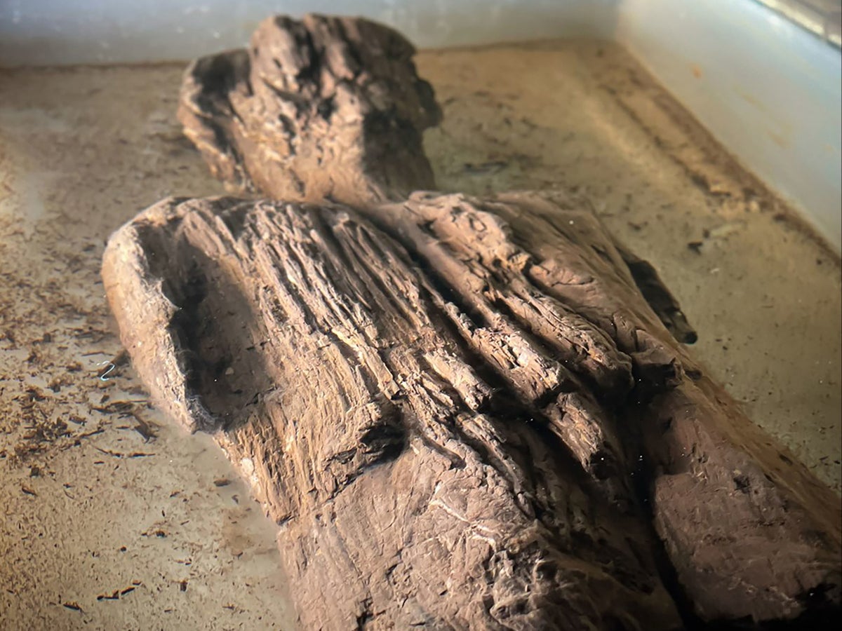 Remarkable' wooden Roman figurine discovered in ditch during HS2 digging | The Independent