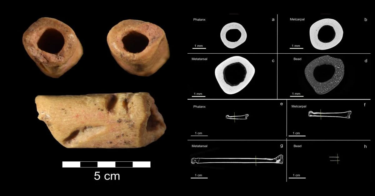 Oldest bead unearthed in Americas - Türkiye Today