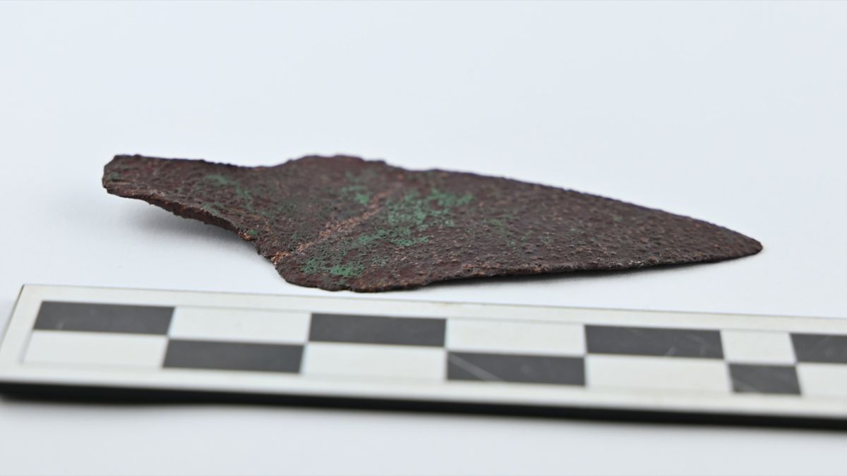 4,000-year-old copper dagger unearthed by metal detectorist in Poland | Live Science