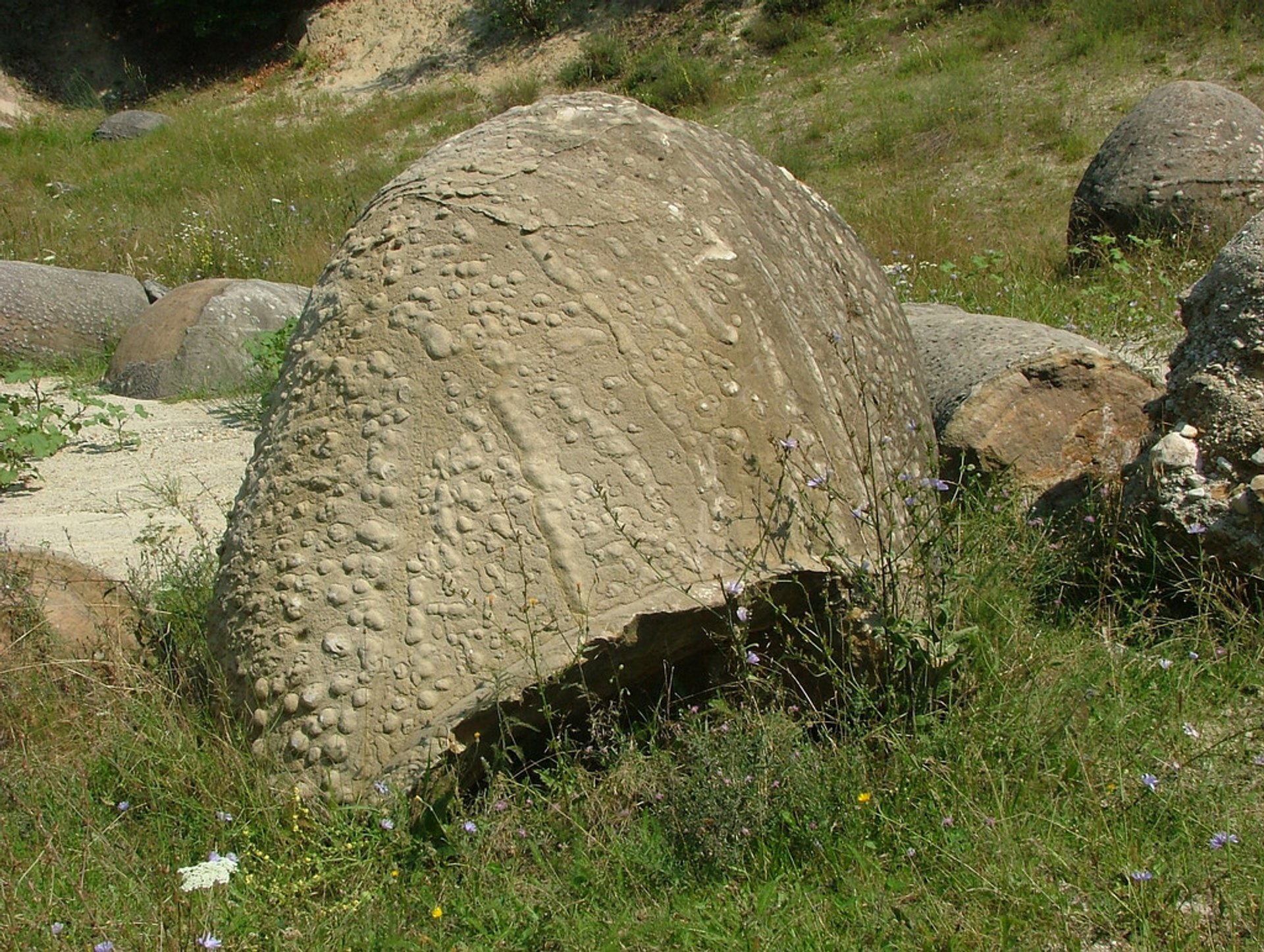 Growing Stones or Trovants in Romania 2024 - Rove.me