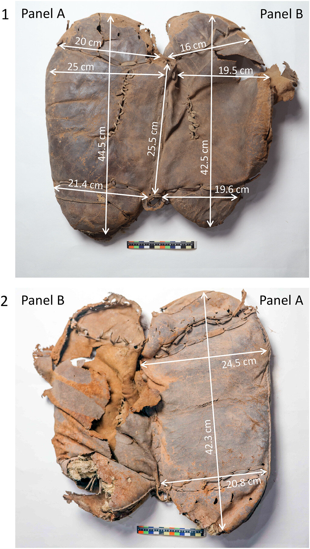 Saddle unearthed in China may be oldest ever found