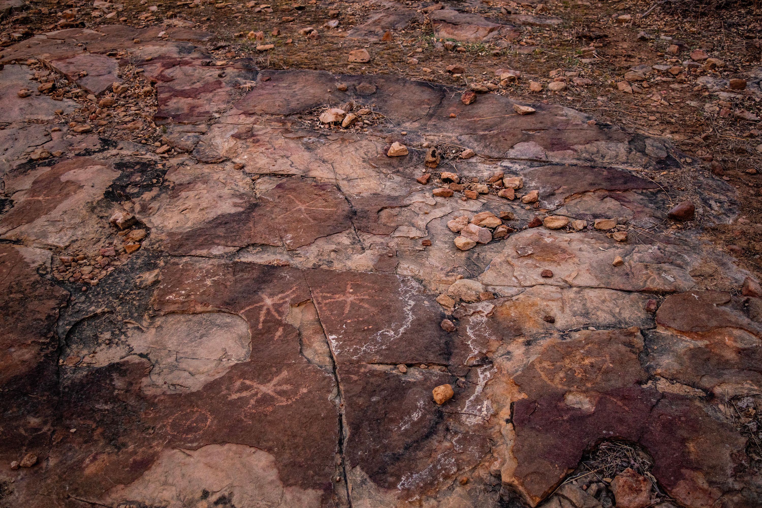 Ancient carved drawings found next to dinosaur footprints in Brazil | CNN