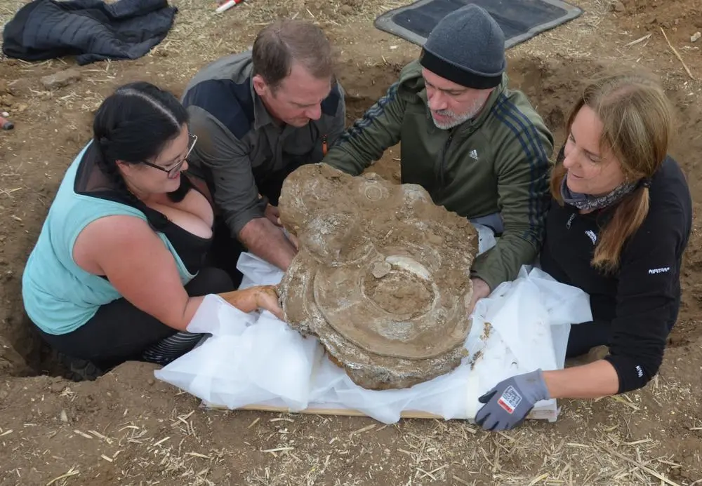 2,000-year-old Roman hoard discovered in Suffolk. - Suffolk County Council