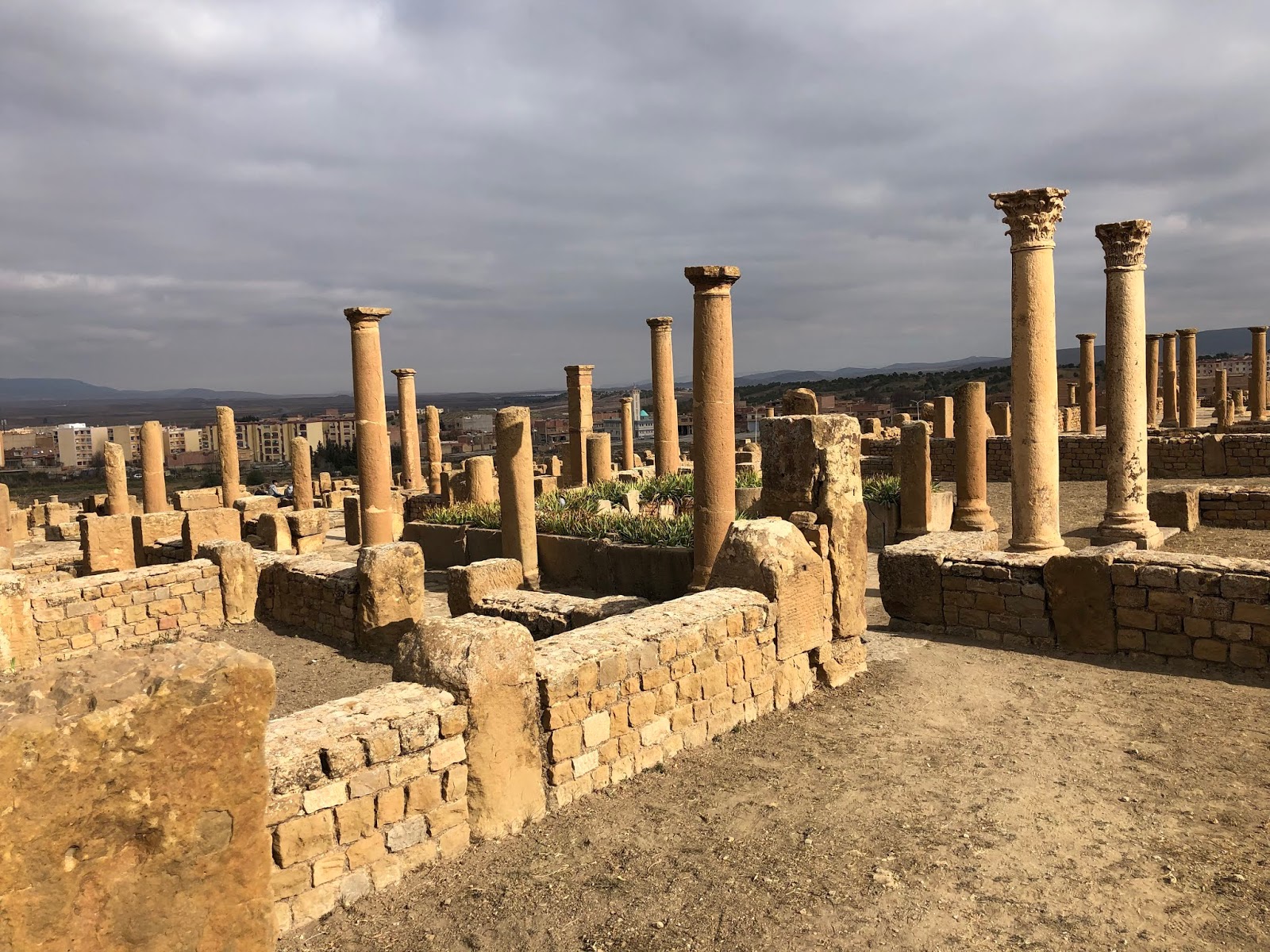 Timgad; A Roman Retirement Community in Algeria.