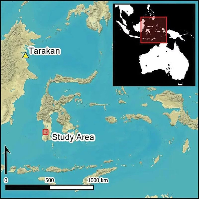 During excavations in southwestern Sulawesi, archaeologists uncovered two shark-tooth blades at Leang Panninge and Leang Bulu’ Sipong 1