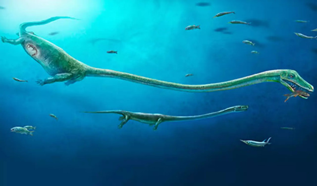 A Striking Illustration Depicts Dinocephalosaurus Gliding Gracefully Underwater in Its Ancient Habitat