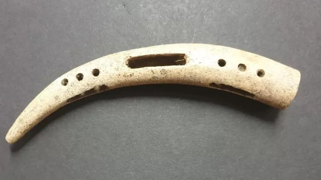 A Stunningly Carved Bronze Age Horse Harness Cheekpiece, Unearthed in Remarkable Condition